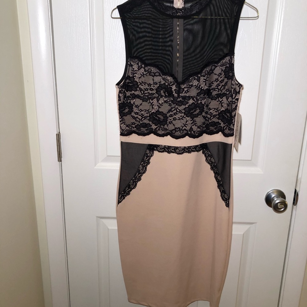 Sexy Lacy body con dress
